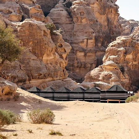 Hotel Ammarin Bedouin Camp Wadi Musa Exterior foto